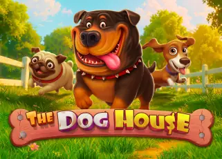 sparta66 The Dog House ทดลองเล่นฟรี